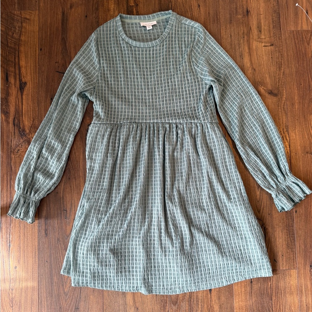 Topshop Women’s Dress in Soft Green